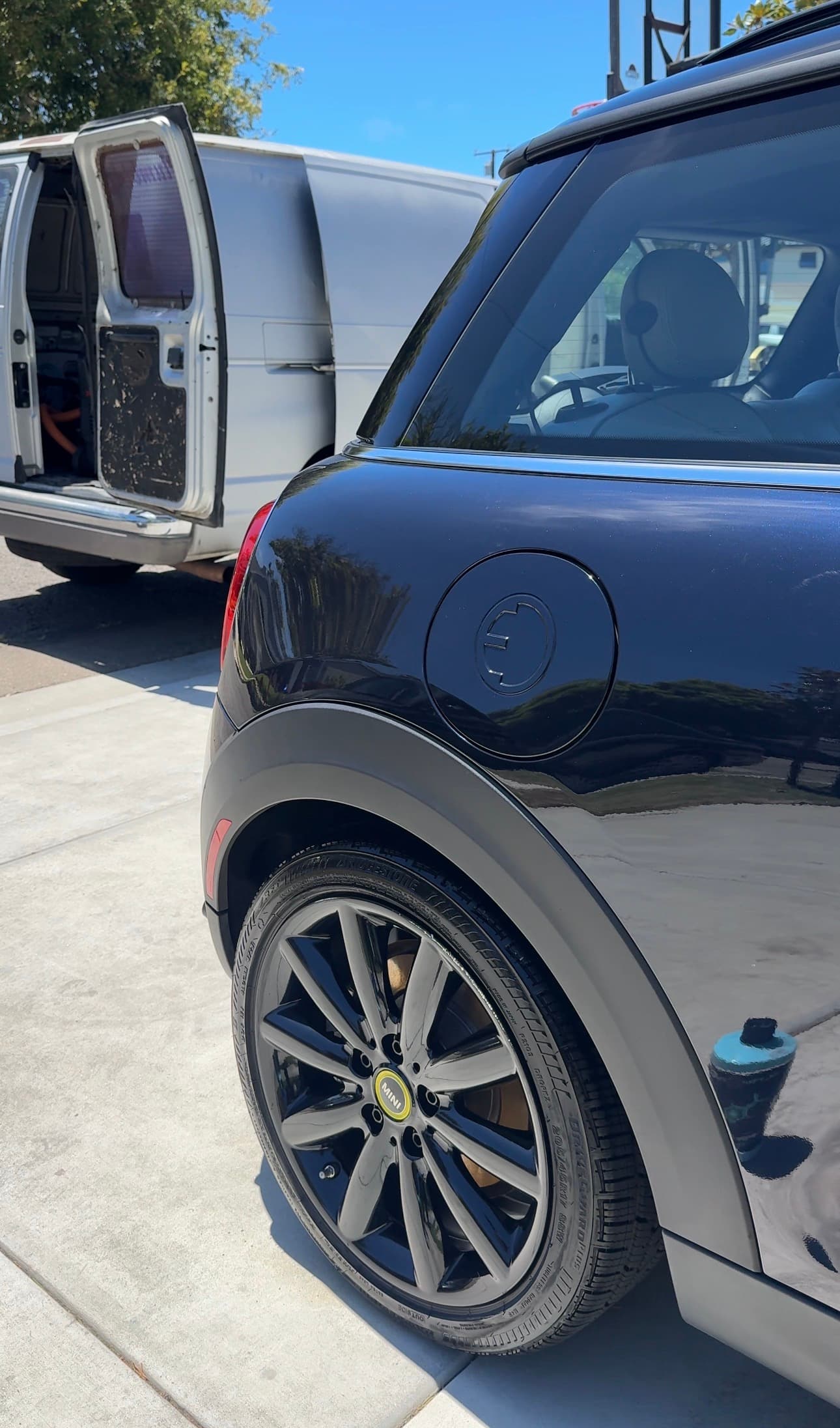 Detailed Whip